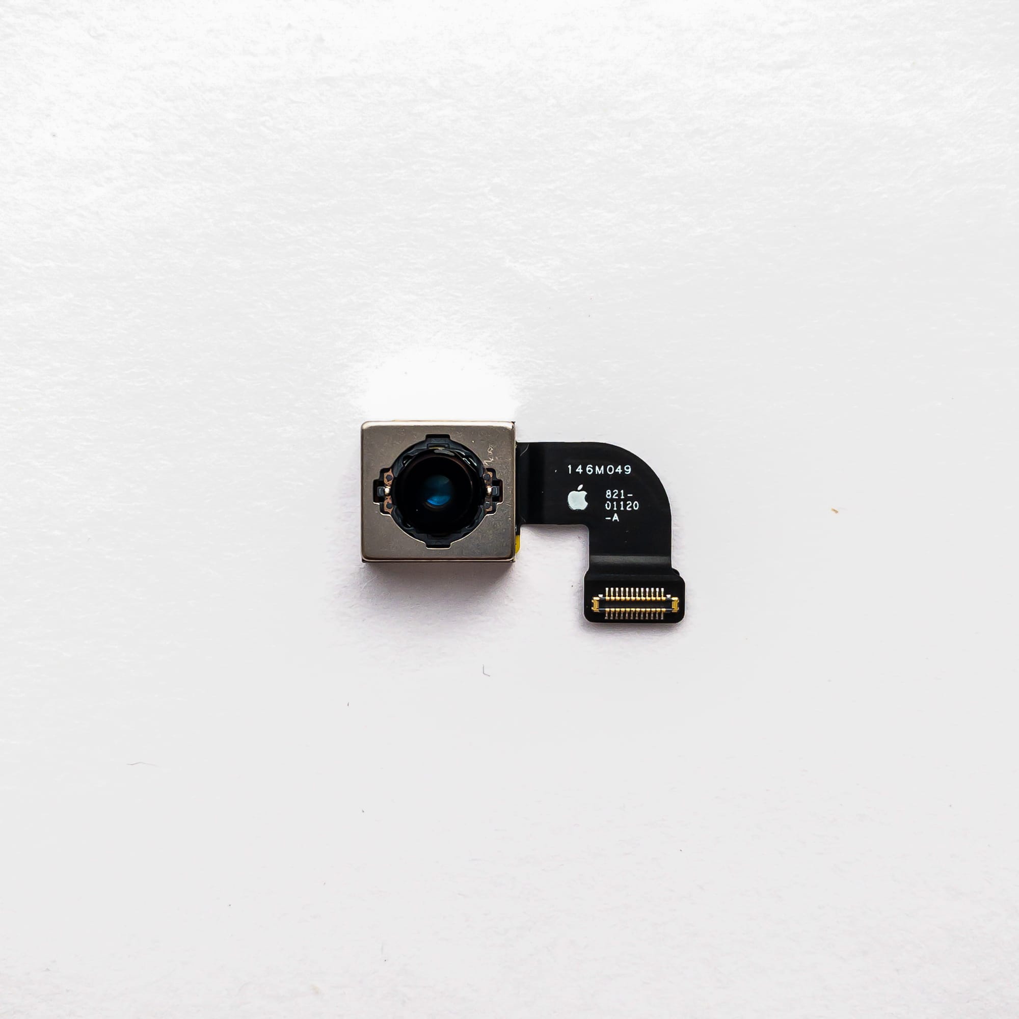 Основная камера iPhone SE 2020 / SE 2022