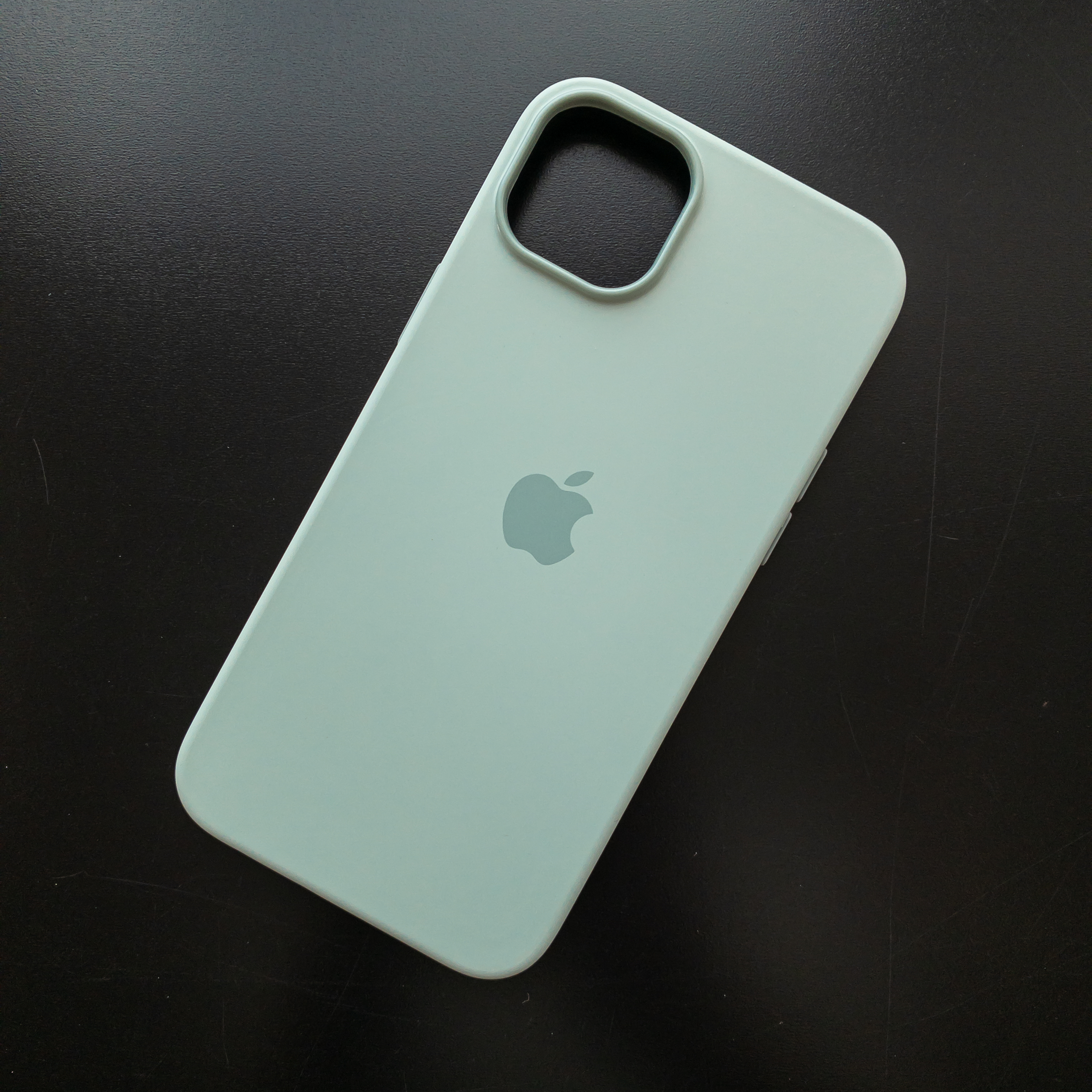 Чехол iPhone 14 Plus Silicone Case (MagSafe) Succulent