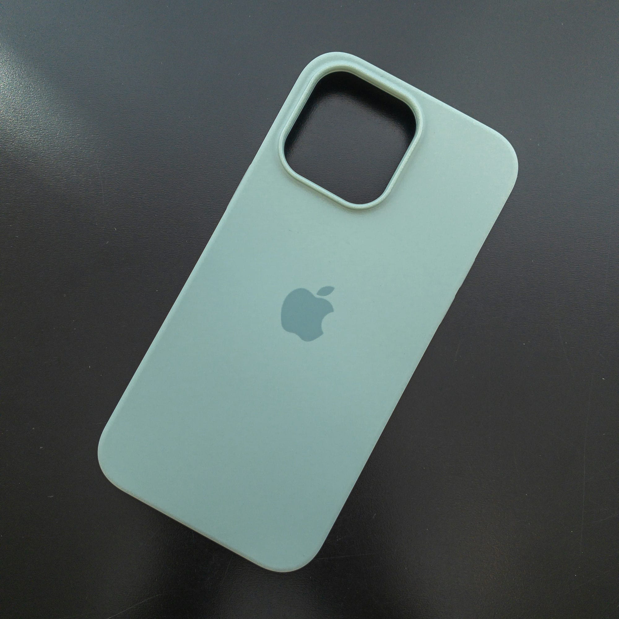 Чехол iPhone 14 Pro Max Silicone Case (MagSafe) Succulent