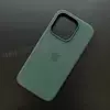 Чехол iPhone 15 Pro Silicone Case (MagSafe) Cypress