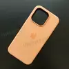 Чехол iPhone 15 Pro Silicone Case (MagSafe) Orange Sorbet