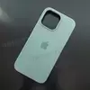 Чехол iPhone 14 Pro Max Silicone Case (MagSafe) Succulent