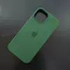 Чехол iPhone 13 mini Silicone Case (MagSafe) Clover