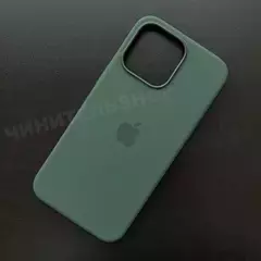 Чехол iPhone 15 Pro Max Silicone Case (MagSafe) Cypress