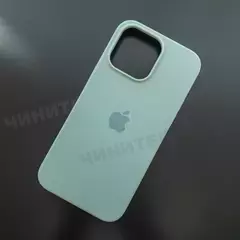 Чехол iPhone 14 Pro Max Silicone Case (MagSafe) Succulent