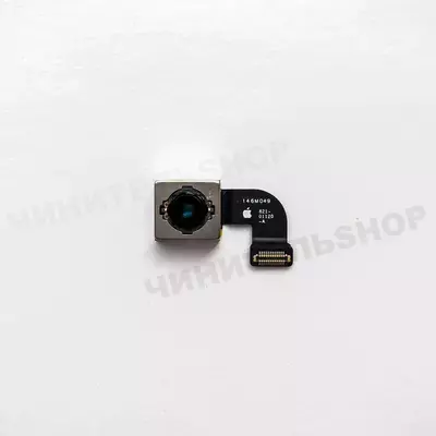 Основная камера iPhone SE 2020