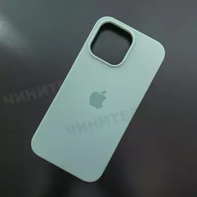 Чехол iPhone 14 Pro Max Silicone Case (MagSafe) Succulent