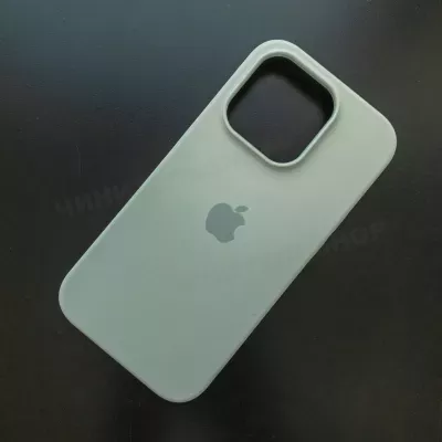 Чехол iPhone 14 Pro Silicone Case (MagSafe) Succulent