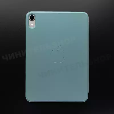 Чехол iPad mini 6 Smart Folio (Cactus)