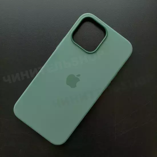 Чехол iPhone 13 Pro Max Silicone Case (MagSafe) Eucalyptus