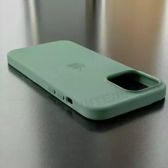 Чехол iPhone 13 Pro Max Silicone Case (MagSafe) Eucalyptus