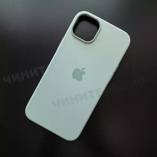 Чехол iPhone 14 Plus Silicone Case (MagSafe) Succulent