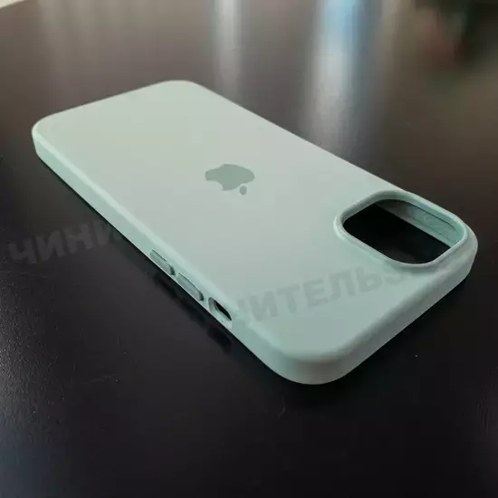 Чехол iPhone 14 Plus Silicone Case (MagSafe) Succulent