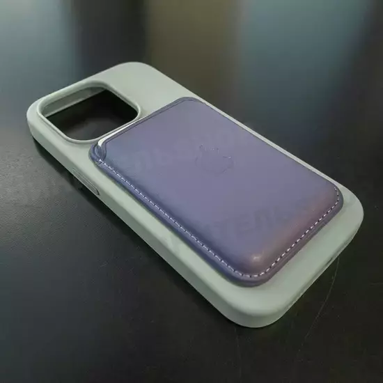 Чехол iPhone 14 Pro Silicone Case (MagSafe) Succulent