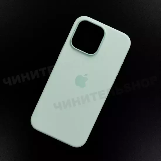 Чехол iPhone 16 Pro Max Silicone Case (MagSafe + Camera Control) Aquamarine
