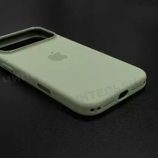 Чехол iPhone 17 Pro Max Silicone Case (MagSafe + Camera Control) Light Moss