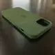 Чехол iPhone 13 Silicone Case (MagSafe) Clover