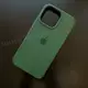 Чехол iPhone 13 Pro Silicone Case (MagSafe) Clover
