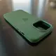 Чехол iPhone 13 Pro Silicone Case (MagSafe) Clover