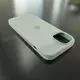 Чехол iPhone 14 Silicone Case (MagSafe) Succulent