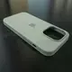 Чехол iPhone 14 Pro Silicone Case (MagSafe) Succulent