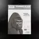 Защитное Стекло SupGlass iPad Air 13" M2 (2024)