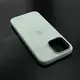 Чехол iPhone 16 Pro Max Silicone Case (MagSafe + Camera Control) Aquamarine