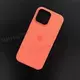 Чехол iPhone 16 Pro Max Silicone Case (MagSafe + Camera Control) Tangerine