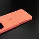 Чехол iPhone 16 Pro Silicone Case (MagSafe + Camera Control) Tangerine
